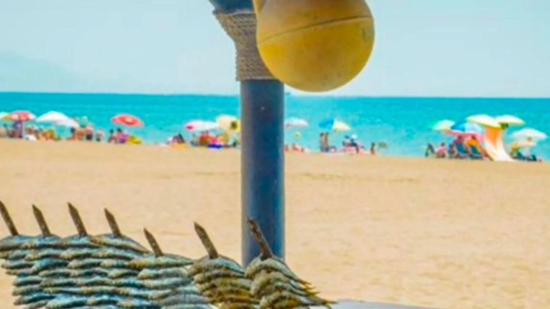 Marbella - Alicate Beachfront Apartment- 8