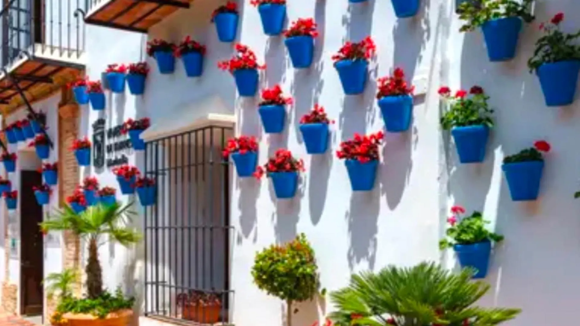 Apartment Marbella - Alicate Beachfront Apartment- 8