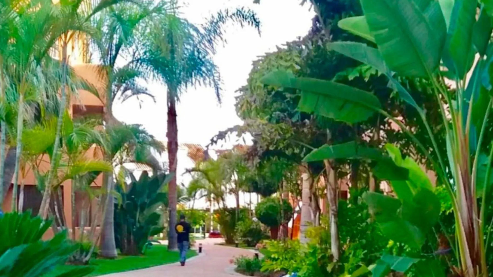 Apartment Marbella - Alicate Beachfront Apartment- 8